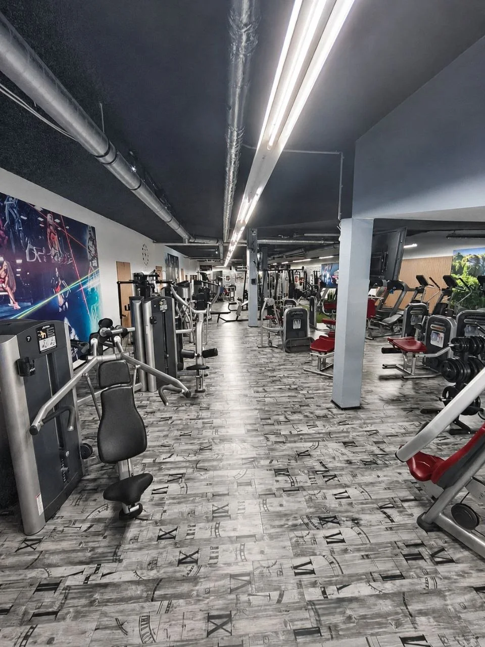 Trainingsfläche im Global Gym Parsberg